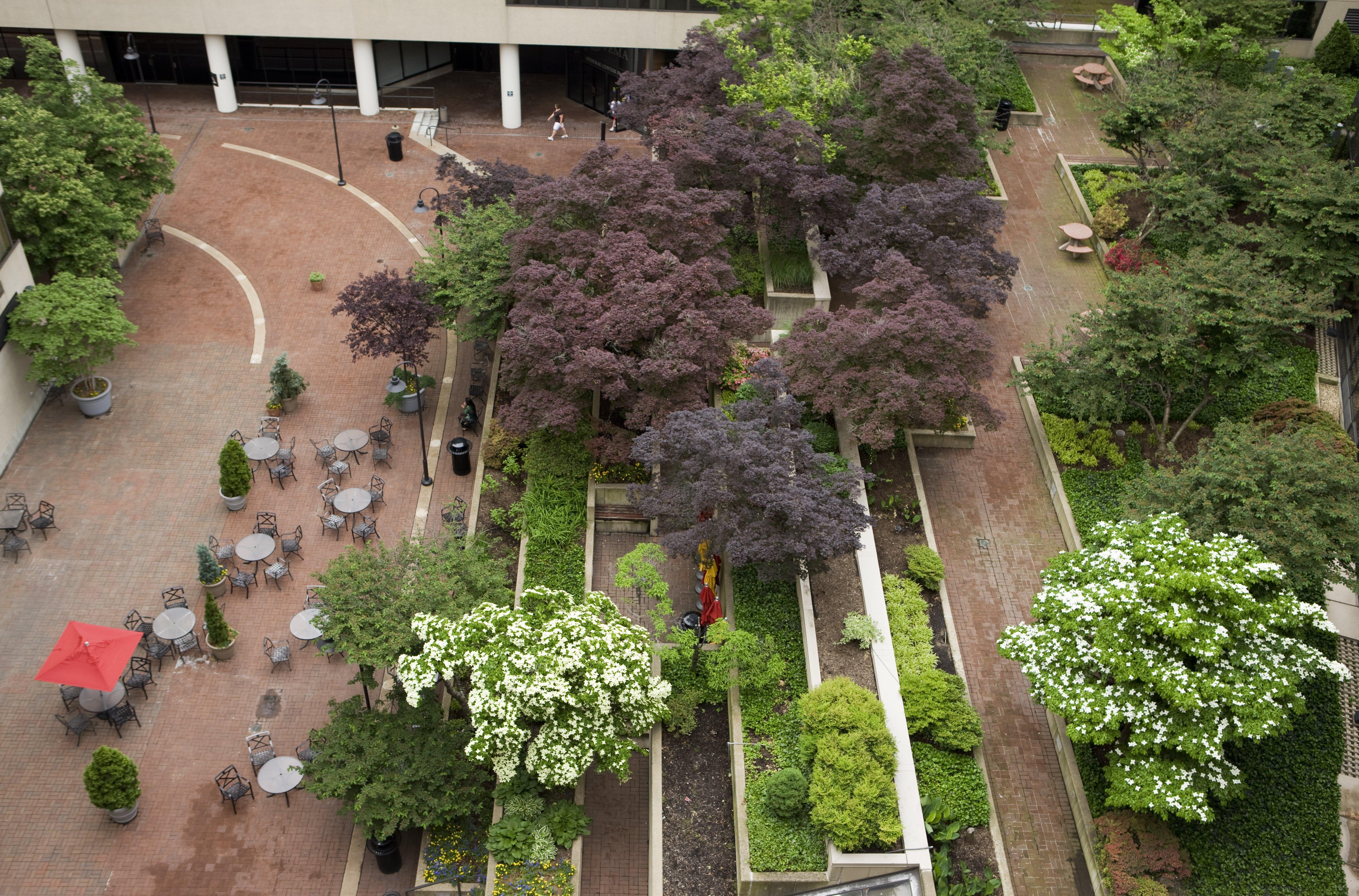 Holiday Inn Washington Capitol-National Mall By Ihg Exterior foto